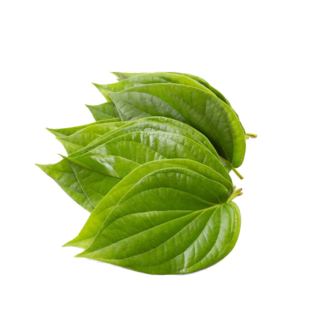 Betel Leaves – 1Pack / తమలపాకులు