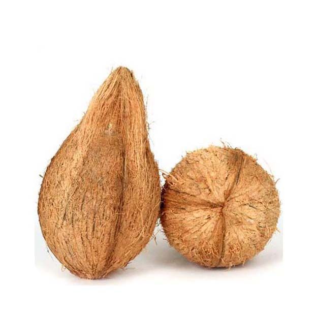 Coconut – 1 Pc / కొబ్బరికాయ