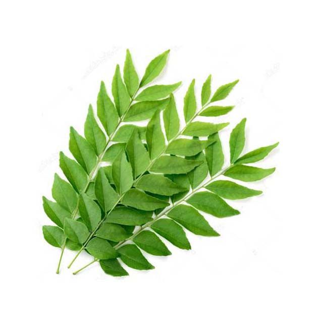Curry Leaves – 1Pack / కరివేపాకు