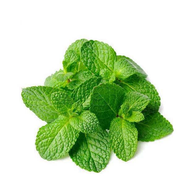 Mint Leaves – 1Pack / పుదీనా ఆకులు